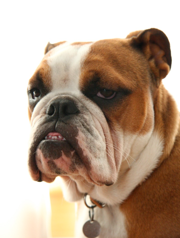 Skaermbillede-2025-06-05-230329 København